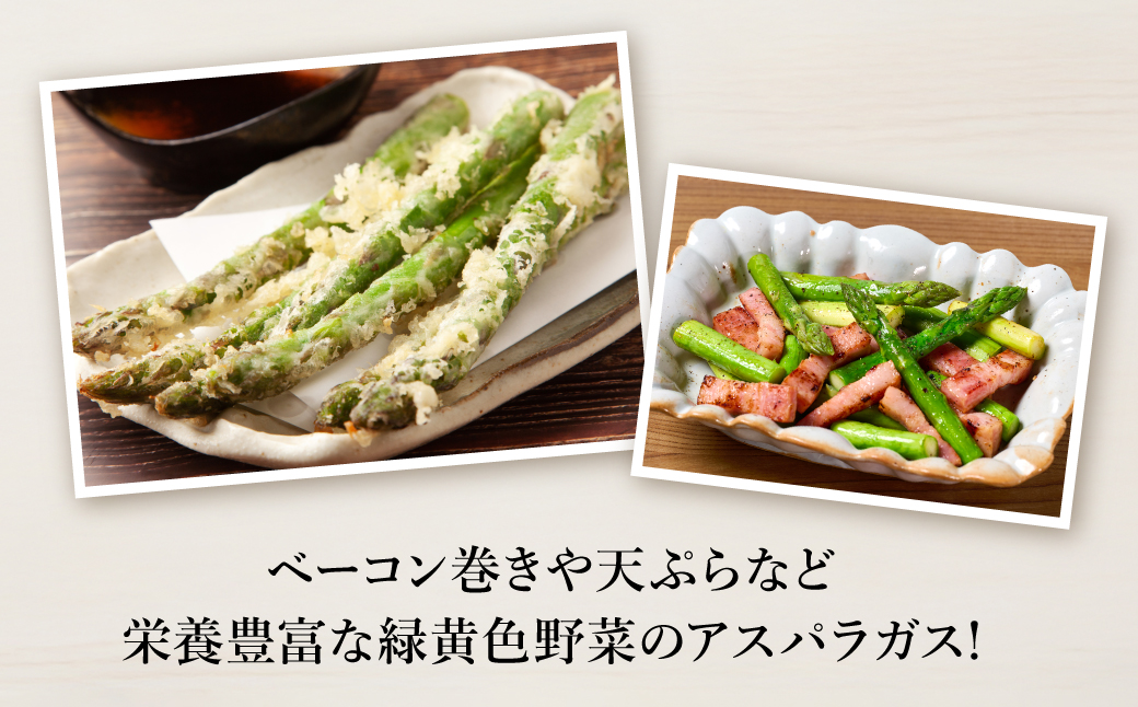 熊本県八代市産 アスパラガス 1kg 新鮮 アスパラ 野菜