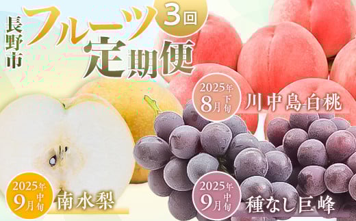 
            フルーツ定期便 長野市 3回（白桃・南水梨・巨峰）【2025年8月より発送】J1158
          