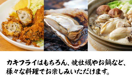 【先行予約】殻付き 生牡蠣 5kg 加熱用 軍手・牡蠣ナイフ付 牡蠣 カキ かき 生 殻付牡蠣 フライ 鍋 バーベキュー BBQ 海鮮 魚介 魚貝 貝 魚介類 新鮮 渥美半島 田原市 愛知県 国産 海