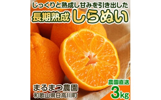 長期熟成しらぬい 約3kg 濃厚なコクと甘さ 農家直送 和歌山県産 【2027年5月～6月発送】