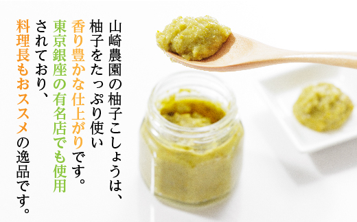 柚子こしょう 辛さ控えめ 800g 青 柚子胡椒（ゆずこしょう） _b-463
