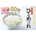 【ふるさと納税】鳥取県産ひとめぼれ6回定期便（10kg×6回）令和5年産 新米 お米 米 こめ コメ ひとめぼれ 定期便