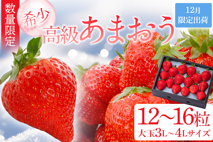 12月限定高級あまおうギフト 大玉3L～4Lサイズ 約12～16粒 BD06