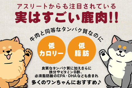 ワンちゃんのペットフード鹿肉小間切れ 3キロ（冷凍250g×12パック）【徳島 那賀 国産 徳島県産 ジビエ いぬ イヌ 犬 わんちゃん ワンちゃん ごはん えさ エサ 餌 高タンパク 低カロリー ド