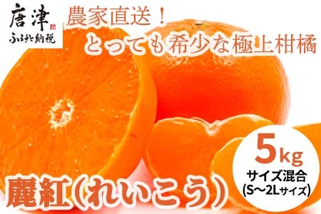 『先行予約』【令和9年1月下旬発送】麗紅(れいこう）ハウス栽培 唐津産 5kg 混合サイズ みかん 蜜柑 柑橘 果物 フルーツ