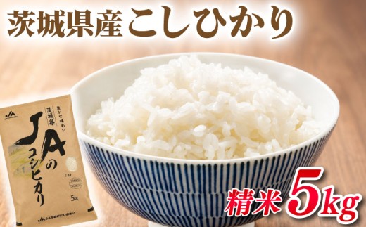 新米 こしひかり お米 令和8年度 5kg 精米 白米 ご飯 ごはん コメ 米5kg 銘柄米 R8 ブランド米 kome okome 国産 産地直送 JAなめがたしおさい 茨城県 鹿嶋市
