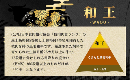 【定期便2回】くまもと 黒毛和牛 (和王) 年末年始 に嬉しい ステーキ 定期便【12月/1月配送】合計400g ブランド牛 肉 ロース サーロイン ステーキ 牛肉 お肉 定期便 年末 年始 年内 発
