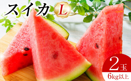 先行予約 スイカL2玉 6kg以上 2玉 ※6月上旬～8月中旬頃に順次発送予定（こちらの返礼品は、大栄西瓜ではありません）西瓜 すいか すいか フルーツ 果物