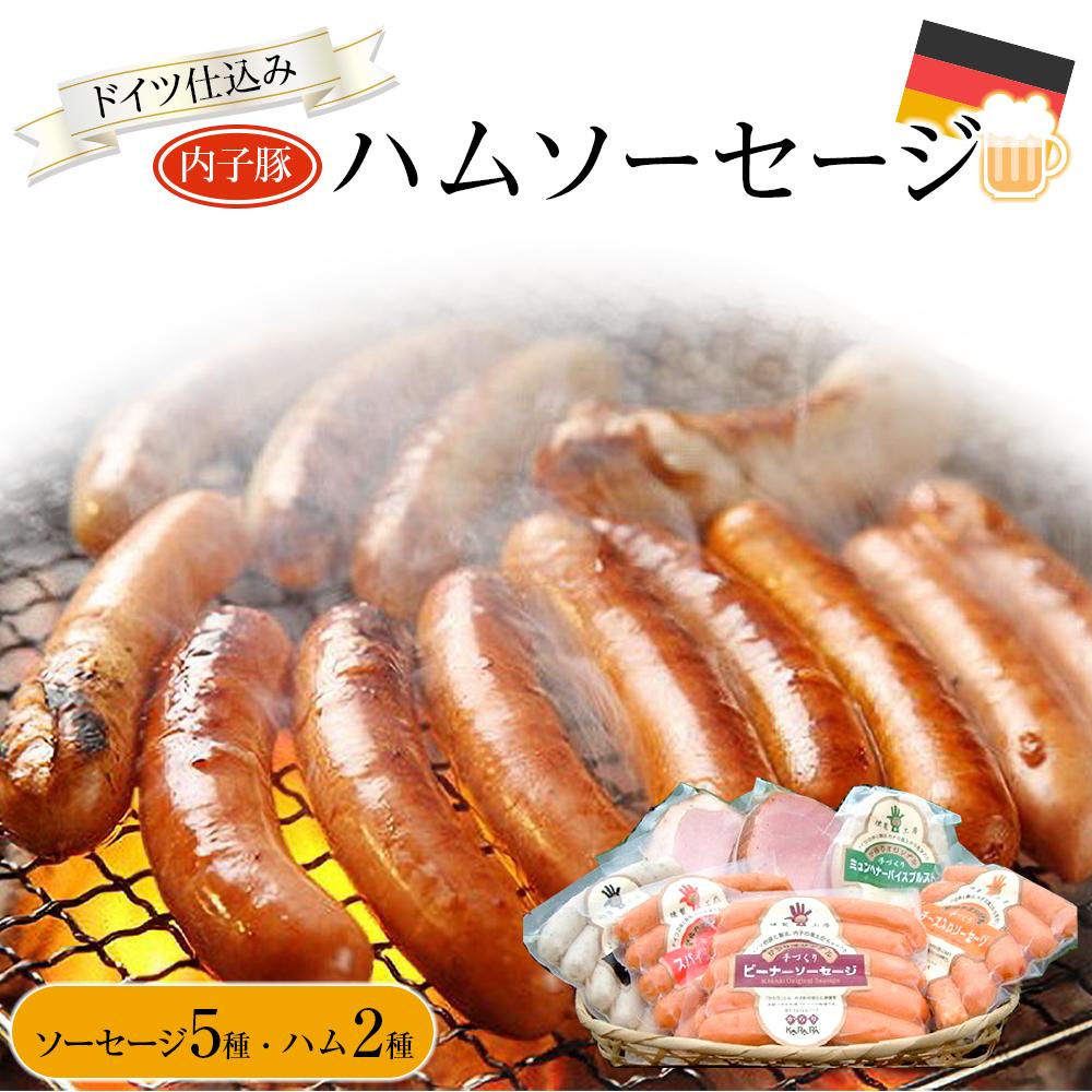 【ふるさと納税】内子からり直送！ドイツ仕込み「内子豚ハムソーセージセット(2)」 | 肉 お肉 にく 食品 内子産 人気 おすすめ 送料無料 ギフト