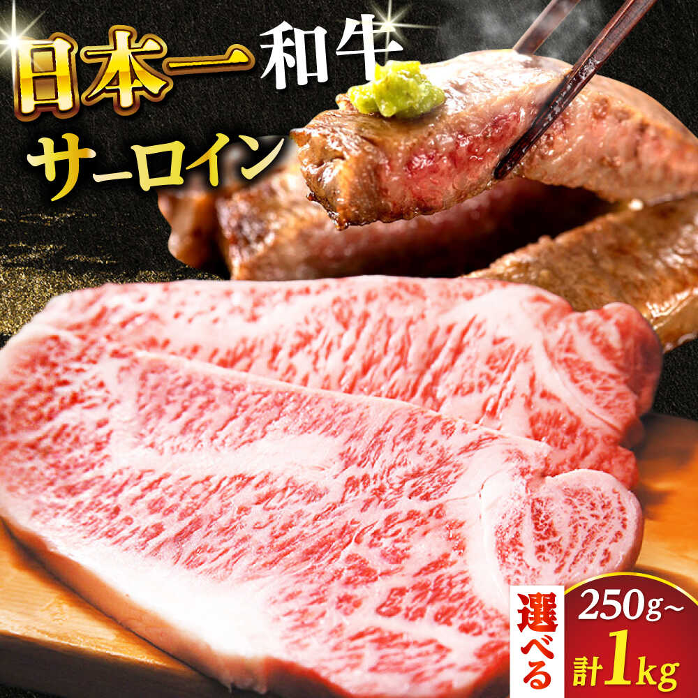 【ふるさと納税】【選べる内容量】【A4〜A5】長崎和牛 サーロインステーキ 250g～1kg【株式会社 MEAT PLUS】[DBS013] サーロイン さーろいん ステーキ 和牛 牛肉 国産 人気 贈答
