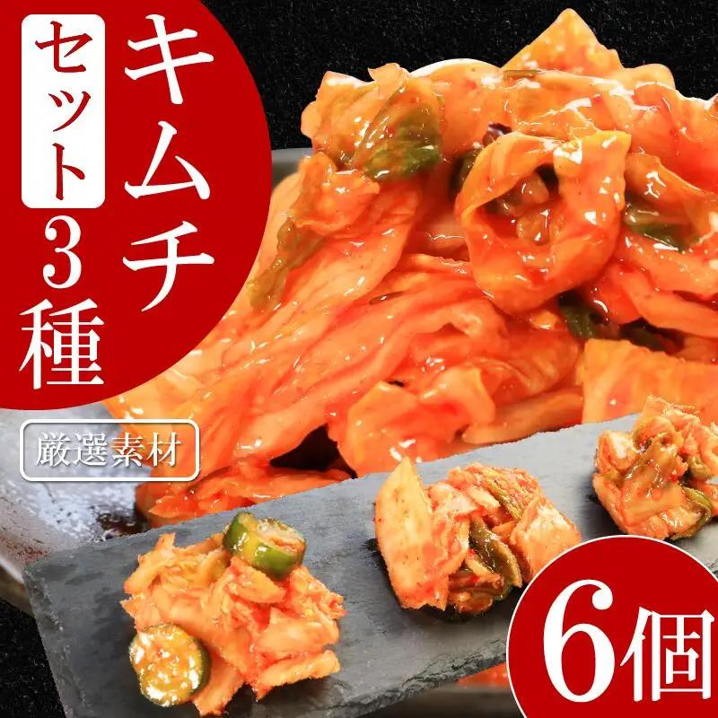 キムチ 3種 セット 計6個 本格キムチ カッパキムチ 白菜キムチ きゅうり