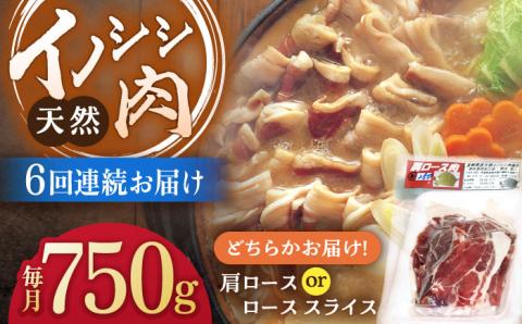 【6回定期便】ジビエ 天然イノシシ肉 肩ロース ＆ ロース スライス750g【照本食肉加工所】 [OAJ056]