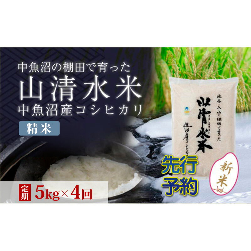 【ふるさと納税】【令和8年産 先行予約】【定期便／全4回】精米5kg 新潟県魚沼産コシヒカリ「山清水米」　お届け：2026年10月10日から、順次発送します。