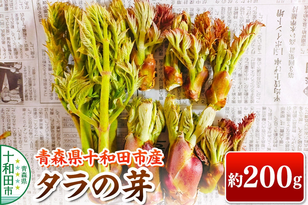 
                  【2027年4月下旬発送・先行受付】山菜 タラの芽 約200g 青森県十和田市産 [旬のもの 山菜 春 たらの芽 タラッポ たらっぽ]
                