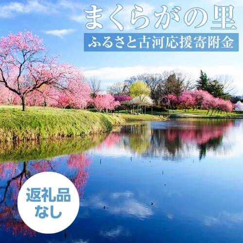 CV07_まくらがの里　ふるさと古河応援寄附金20,000円【返礼品なし】