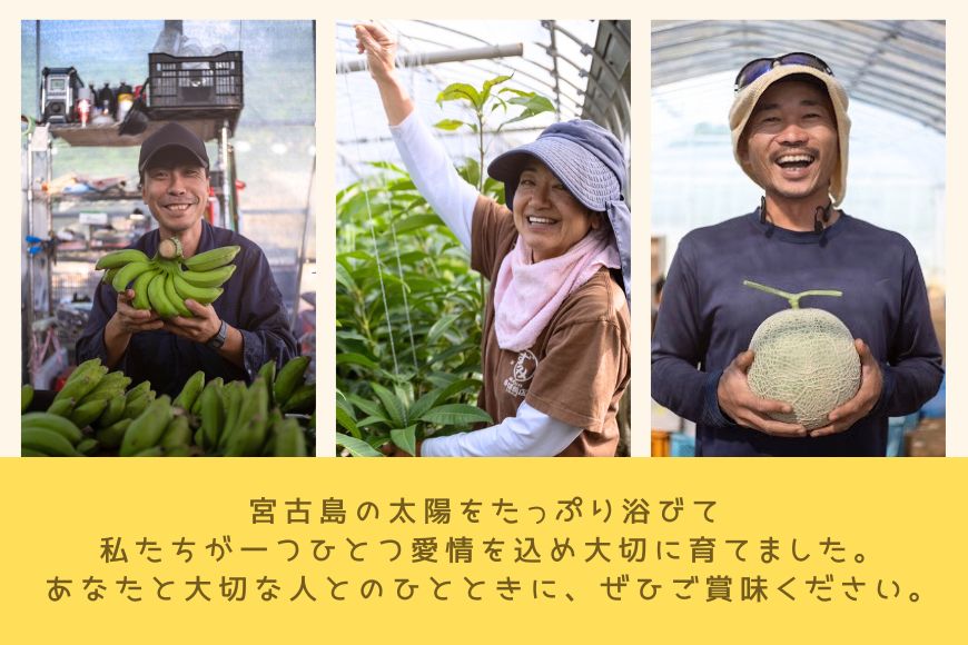 JH013【3回定期便】宮古島 旬の南国フルーツ定期便　(株)フラモン