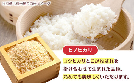 R7年度産 新米 ヒノヒカリ 玄米 5キロ 5kg お米 米 コメ ごはん ご飯 げんまい 大阪府高槻市/高槻あぐり[AOCS031]