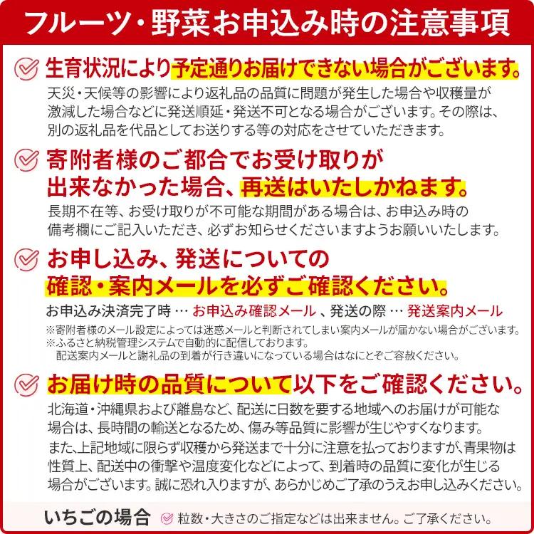 あまおう いちご 産地直送 約250g×2パック 福岡県産 朝採れ ふくおかエコ農産物認証 苺 フルーツ イチゴ 果物 くだもの ストロベリー ichigo ケーキ スイーツ 【1月中旬〜2月末頃発送