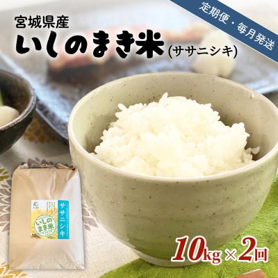 ふるさと納税 石巻市 米 定期便 【定期便2回・毎月発送】宮城県いしのまき産米「ササニシキ」10kg×2回(精米) 石巻市