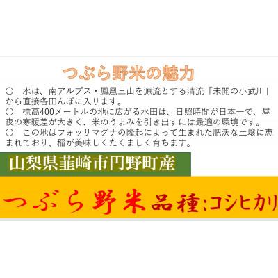 ふるさと納税 韮崎市 【2ヵ月毎定期便】つぶら野米(品種:コシヒカリ) 白米5kg 隔月定期(計25kg)全5回 |  | 01