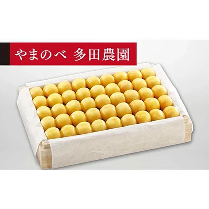 【ふるさと納税】《2026年先行予約》【特選月山錦】桐箱詰 約1,100g【やまのべ多田耕太郎のさくらんぼ 多田農園】期間限定 数量限定 山形県産 サクランボ フルーツ 果物 くだもの 贈答 F4A-0007