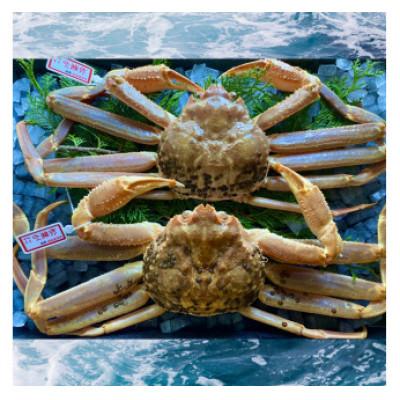 ふるさと納税 若桜町 【活き】タグ付き松葉ガニ　大　2枚(1枚800〜940g前後)