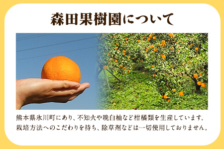 森田果樹園の不知火 5kg《2月中旬-4月下旬頃出荷》森田果樹園 果物 フルーツ 柑橘 熊本