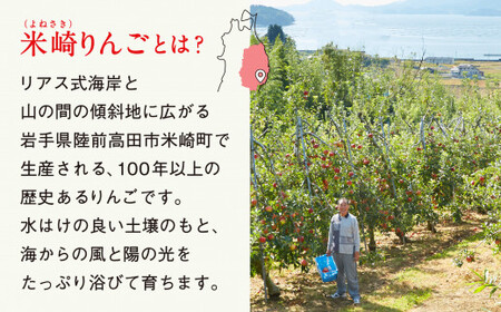 米崎りんご 「ふじ」 3kg 【 数量限定 りんご リンゴ 林檎 旬 新鮮 産地直送 岩手 陸前高田 家庭用 】RT671