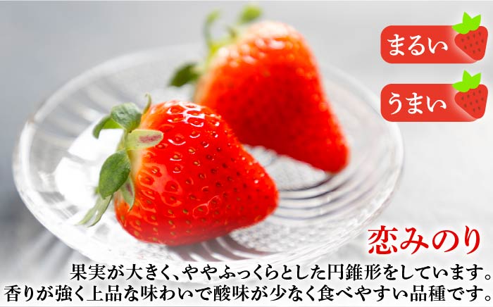 【季節限定】お徳用 いちご 1kg イチゴ 苺 バラ詰め ゆめのか 恋みのり ゴロゴロ生いちご 中玉小玉サイズ 《壱岐市》【蒼花】 [JEO002] 9000 9000円