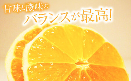【先行予約】土佐小夏 Mサイズ 約5kg 36個前後〈2026年4月中旬-2026年7月中旬頃発送〉/ 日向夏 みかん ニューサマーオレンジ 柑橘 フルーツ こなつ 小夏 果物 特産 5キロ 高知県【