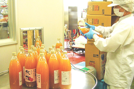 JA相馬村のりんご 無添加 りんごジュース 2種 詰め合わせ 1L × 6本 ふじ ブレンド 各3本 【 林檎 ジュース 飲み比べ 飲み物 飲料 フルーツ 果物 弘前 弘前市産 青森りんご 】