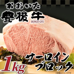 サーロイン 【厳選部位】おおいた豊後牛 サーロイン ブロック 1kg