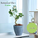 【ふるさと納税】フェイクグリーン Botanical life+ Dシリーズ ツバキ 60cm 光触媒加工 鉢付き インテリア 抗菌 消臭 愛知県 豊橋市 送料無料 35000円