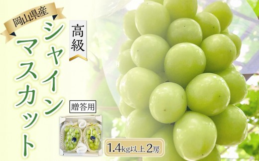 ぶどう 2026年  岡山県産 高級 シャインマスカット 1.4kg以上 2房 贈答用＜9月以降発送＞ | フルーツ 果物 くだもの シャインマスカット マスカット 葡萄 ぶどう ブドウ 高級 ギフト