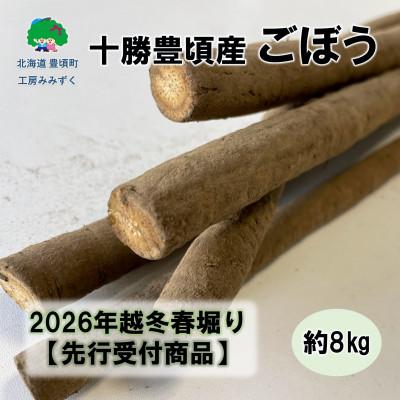 ふるさと納税 豊頃町 十勝豊頃産 ごぼう約8kg(SS〜2Lサイズ混合)【2026年春出荷】(先行受付)【工房みみずく】