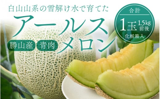 勝山産アールスメロン 1個入り（青肉）※2026年7月下旬以降順次発送 [A-060005]