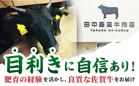 【全6回定期便】佐賀牛 焼肉用 400g 【田中畜産牛肉店】[HBH155] 焼肉 佐賀牛 黒毛和牛