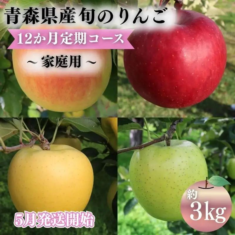 りんご 【2027年5月発送開始】12ヶ月定期便 約3kg 家庭用 りんご
