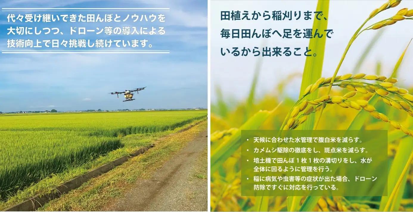 SE0605　令和7年産【白米】ひとめぼれ　20kg(5kg×4袋) YA