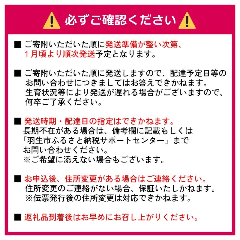 【先行予約】いちご あまりん  4パック 苺 あまりん