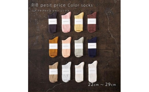 7-197 HARUSAKU [ CC ] ハルサク リブカラー ソックス 靴下 5P set 25cm～27cm 25cm～27cm