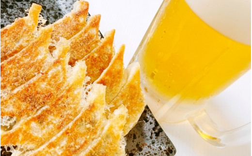 大西の餃子パーティーセット(にんにく餃子・梅餃子)　25個入り×各2パック　計100個 / 和歌山県 田辺市 ぎょうざ ギョウザ ギョーザ にんにく不使用 手作り 紀州うめぶた 紀州南高梅 南高梅 宝