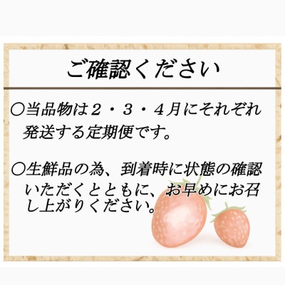 【発送月固定定期便】博多あまおう 250g-270g×2パック(岡垣町)全3回【配送不可地域：離島】