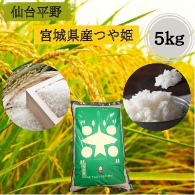 ふるさと納税 宮城県 【令和7年産】宮城県産　つや姫 5kg