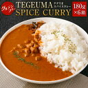 【ふるさと納税】グルテンフリー 無水チキンカレー TEGEUMA SPICE CURRY（テゲうまスパイスカレー）180g×6箱