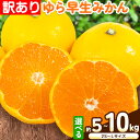 【ふるさと納税】訳あり ゆら 早生 みかん 選べる 内容量 約 5kg (2S～Lサイズ) 約 10kg (2S～Lサイズ) どの坂果樹園《10月中旬-12月上旬頃出荷予定》 和歌山県 日高川町 みかん ゆら早生 訳あり 旬 柑橘 フルーツ 果物 ミカン 蜜柑 家庭用 わけあり