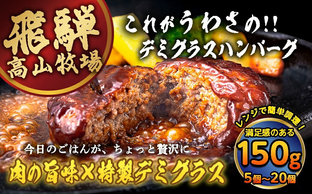 【ふるさと納税】飛騨高山牧場の工場で作った デミグラスハンバーグ 150g 5個