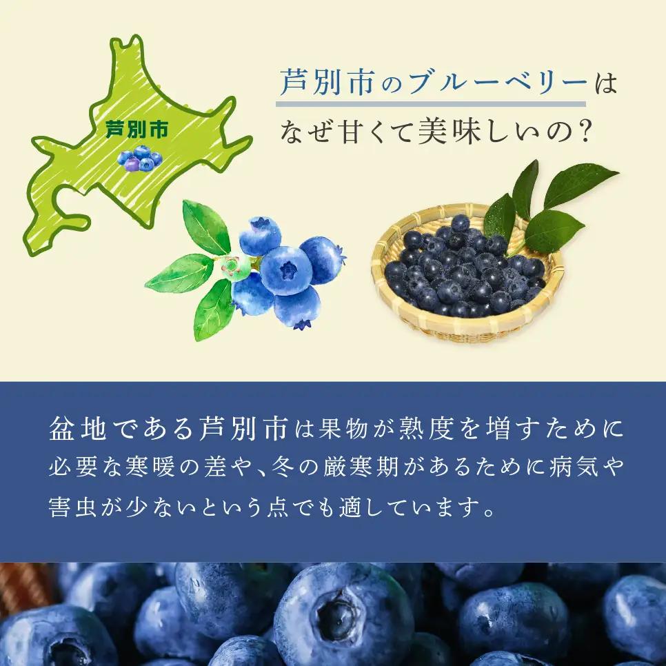 ブルーベリー 1kg 8品種 冷蔵 大粒 小粒 北海道