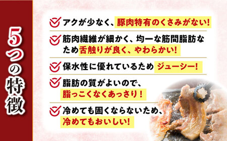 【 訳あり 】【6回 定期便 】 焼肉 用 大西海 SPF豚 背ロース ＆ バラ （ 焼肉 用）計1.3kg（各650g）＜大西海ファーム＞[CEK045]  長崎 西海 豚 SPF豚 ブランド豚　焼