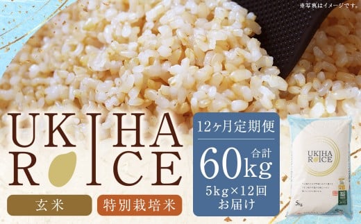 【12ヶ月定期便】みずほファーム UKIHA RICE (玄米5kg×12ヶ月) 【特別栽培米】 【2025年11月より順次発送予定】 米 ヒノヒカリ  玄米 お米 ご飯 うきは市